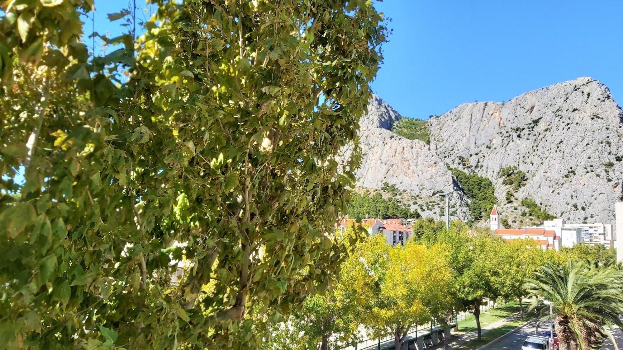 Apartment Punta Omiš Dış mekan fotoğraf